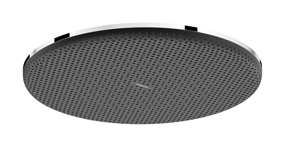 Raindance Alive S Douche de tête 300 1jet EcoSmart+