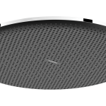 Raindance Alive S Douche de tête 300 1jet EcoSmart+